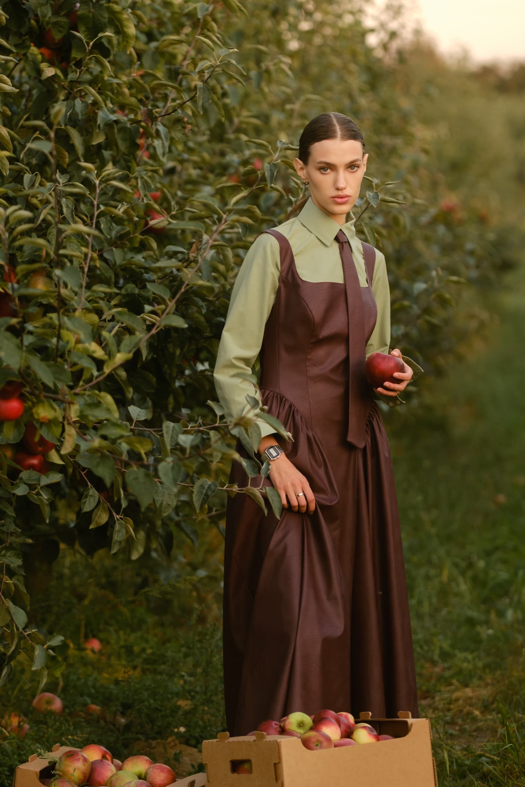In the orchard