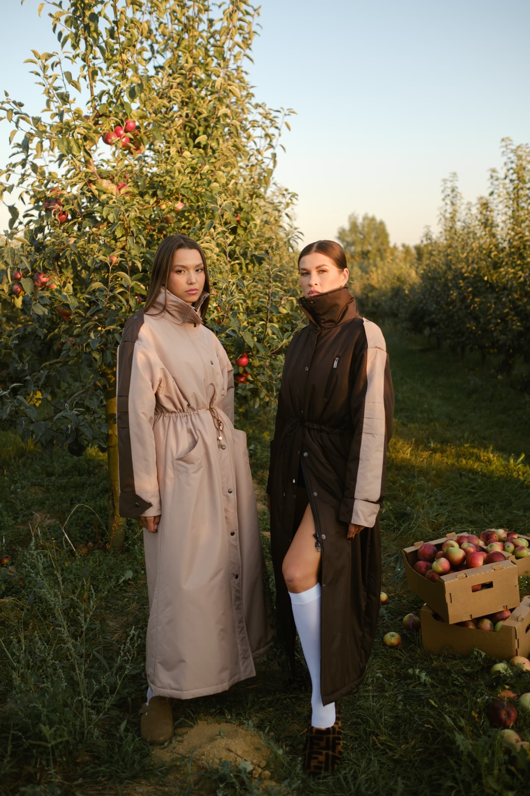 Raincoats in orchard